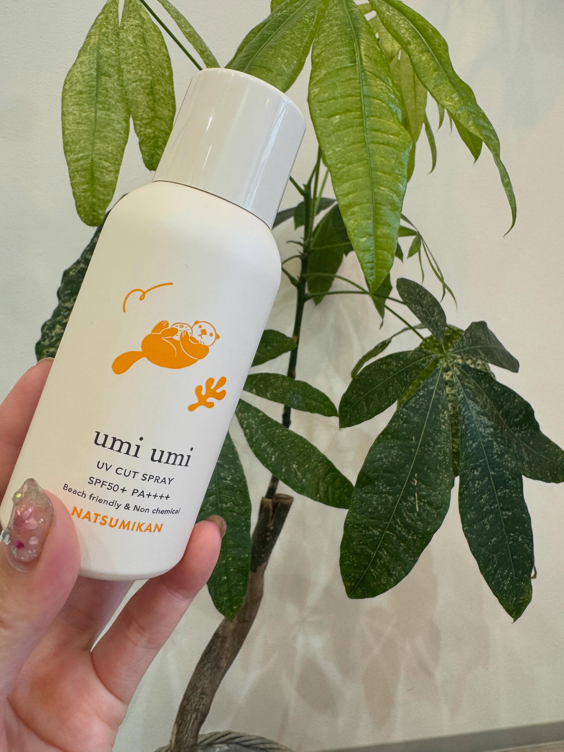 🍊新商品入荷してます🍊